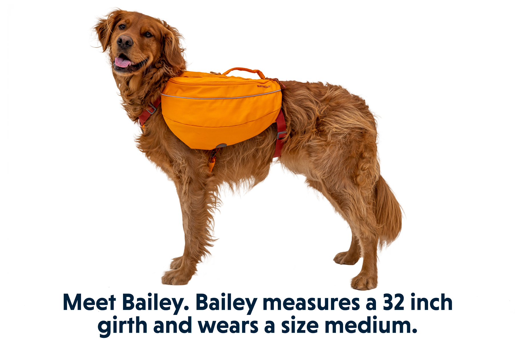Ruffwear approach 2025 pack medium