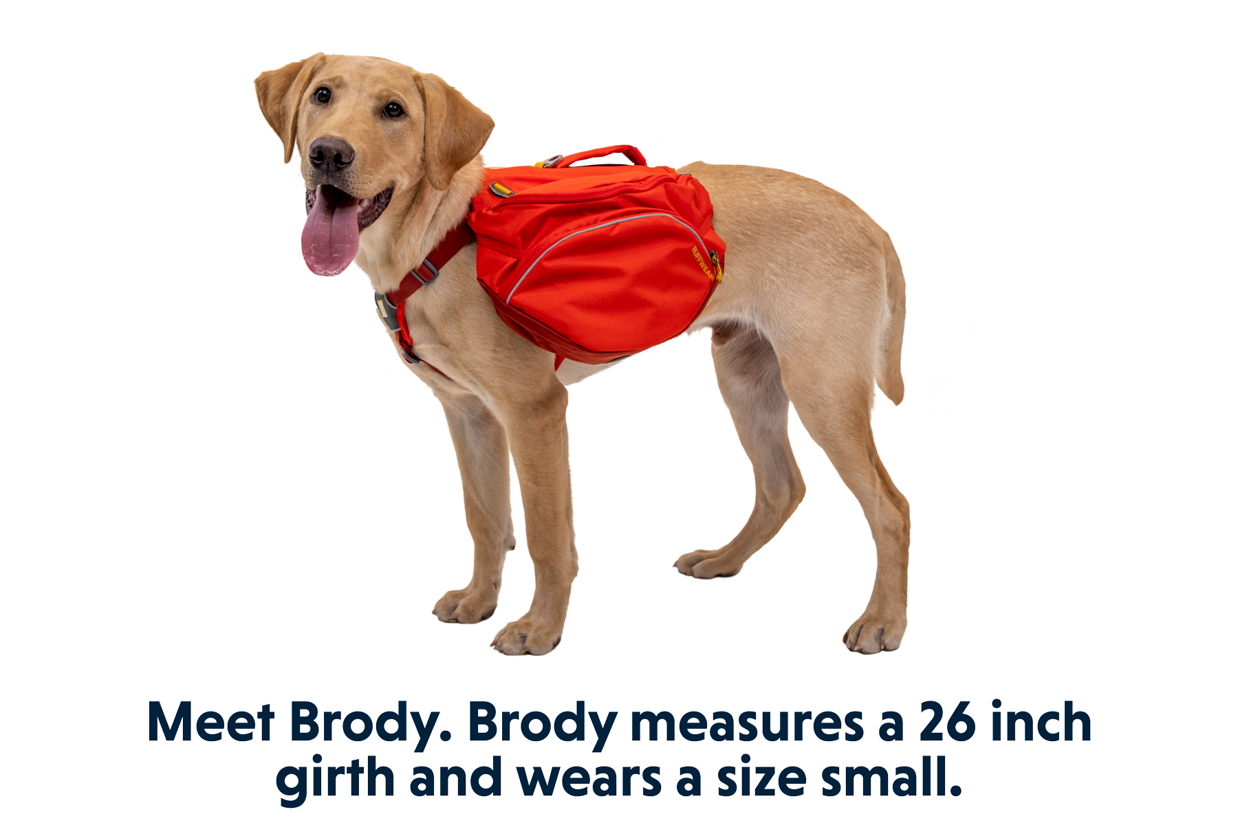 Palisades Dog Backpack Durable Multi Day Backcountry Ruffwear