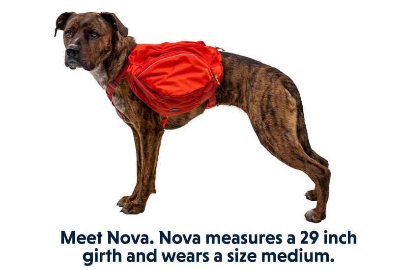 Ruffwear top hiking pack