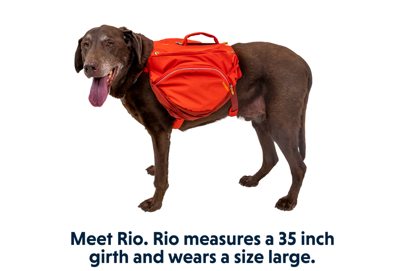 Ruffwear approach pack medium best sale