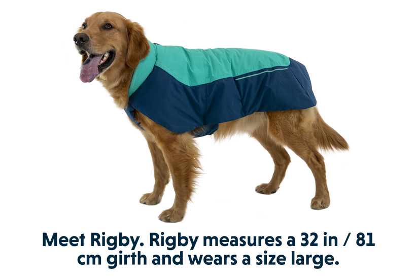 Ruffwear coats for dogs best sale