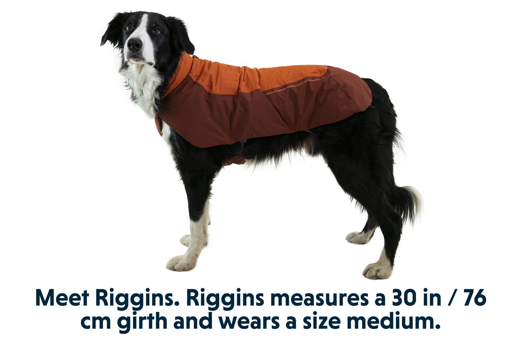 Vert Winter Dog Jacket Waterproof Windproof Insulated Ruffwear